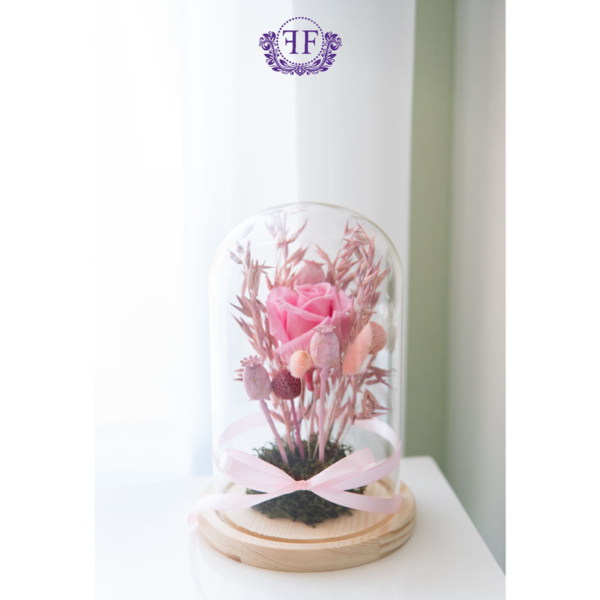 Pink Infinity rose in dome