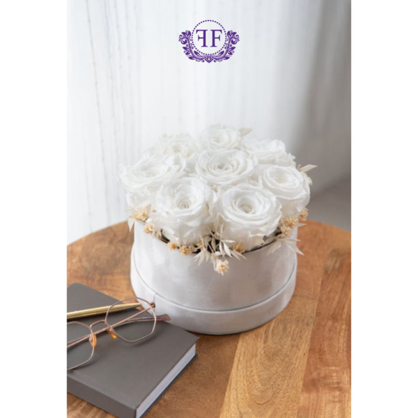 White infinity roses in white box